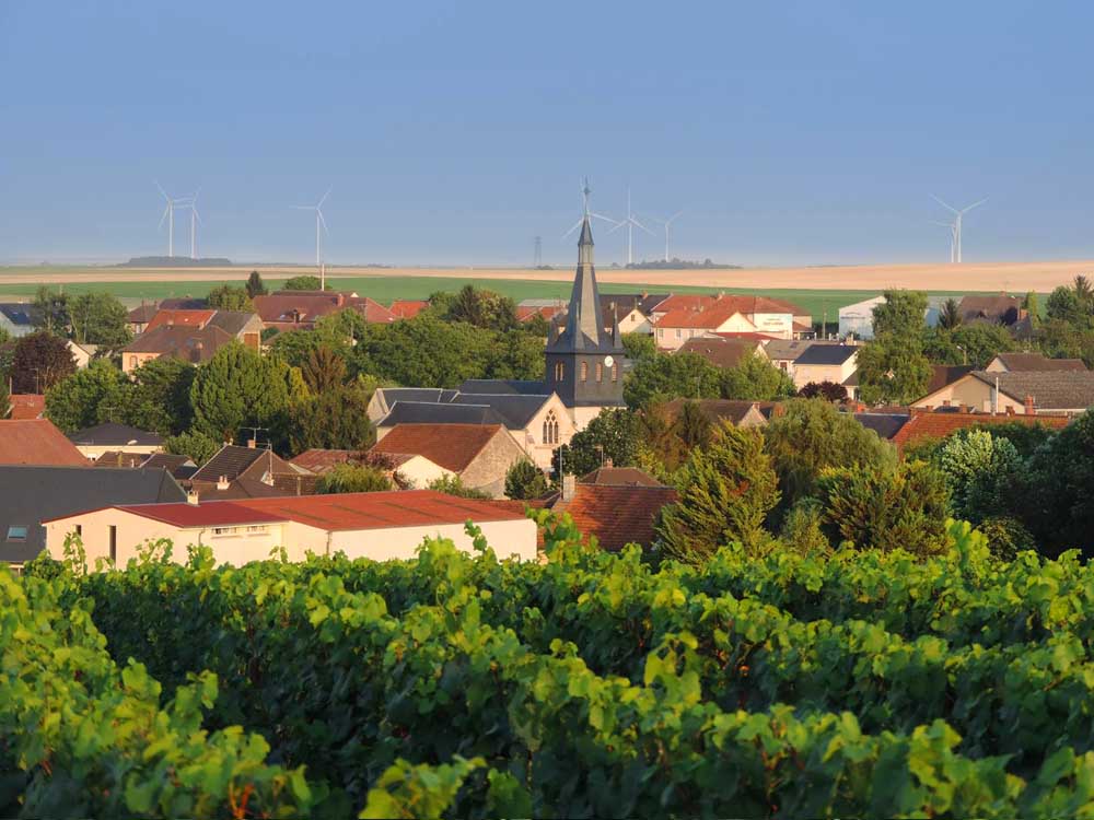 Le vignoble Champagne Vallois